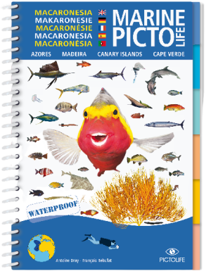 Guide des poissons, faune et flore pour les snorkelers et les plongeurs